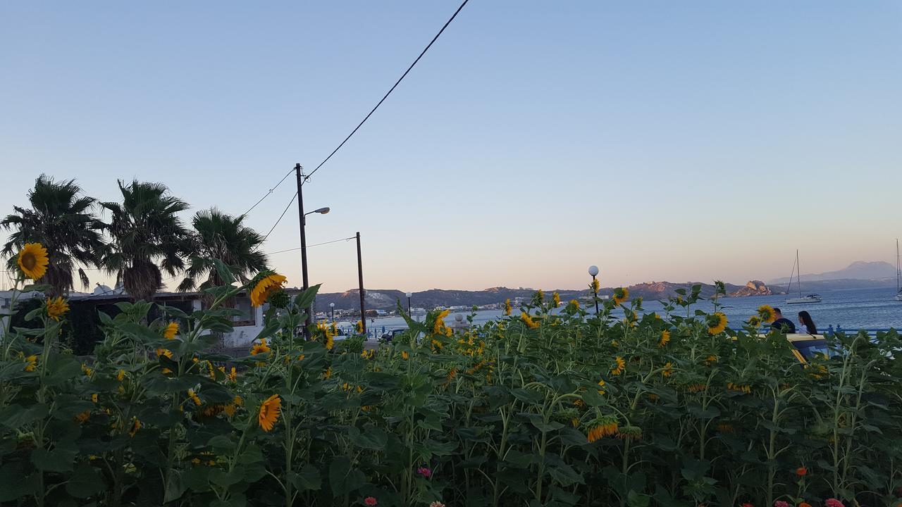 Eleni Studios Κέφαλος Εξωτερικό φωτογραφία